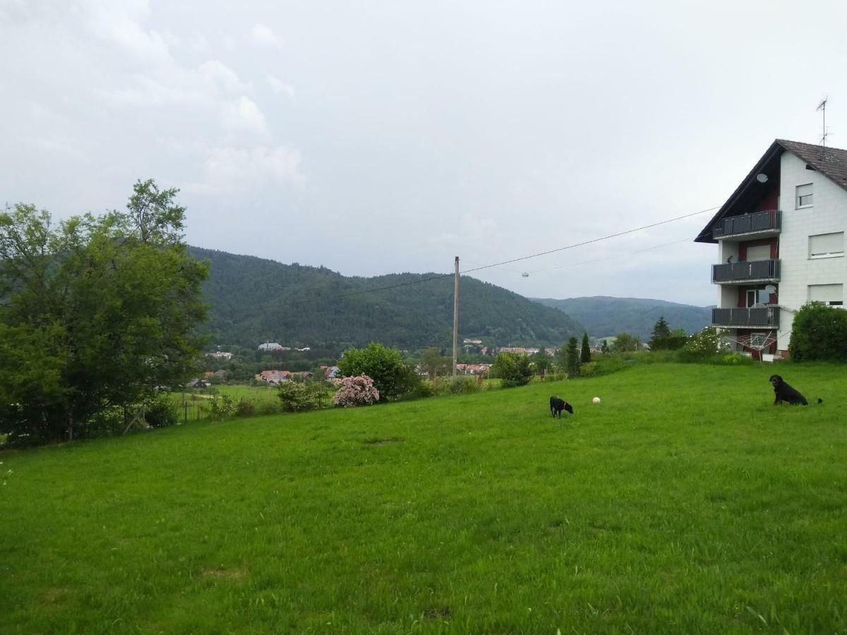 Ferienwohnung Am Eichbuehl วัลด์เคียร์ช ภายนอก รูปภาพ